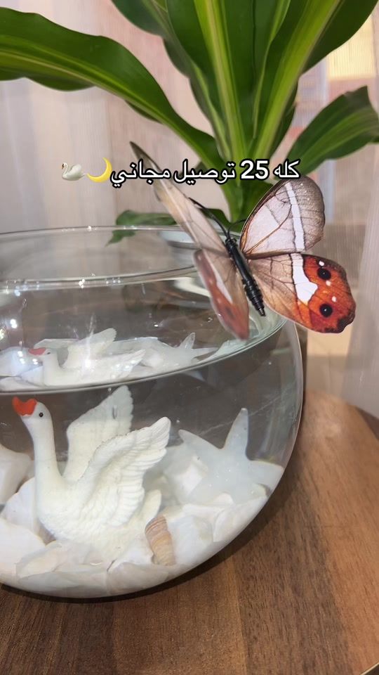 TikTok video thumbnail by fish_nemo4