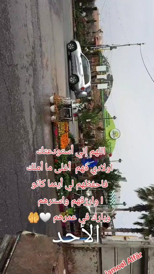 TikTok video thumbnail by jamalatalfar4