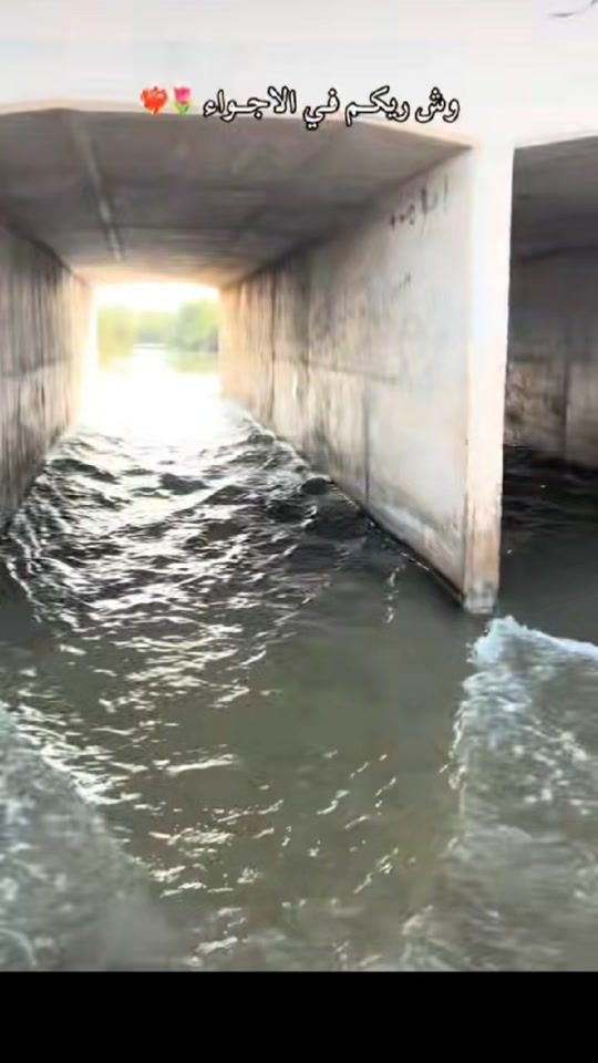 TikTok video thumbnail by fo711fl