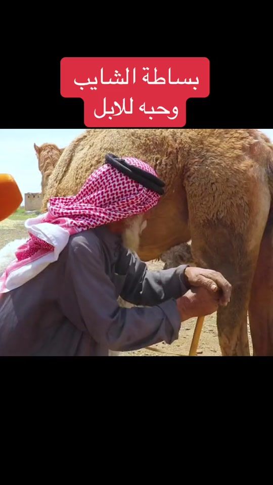 TikTok video thumbnail by kd30kd
