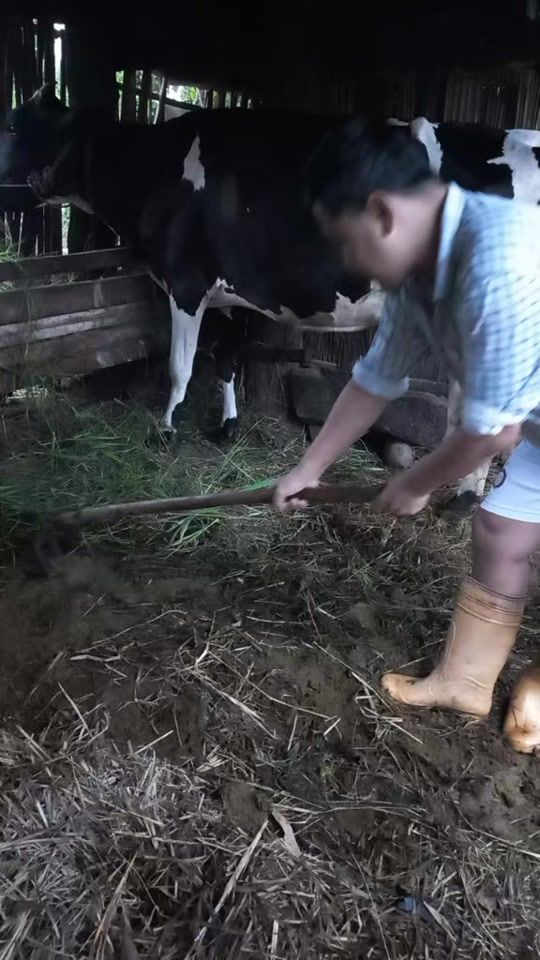 TikTok video thumbnail by rajusampang1