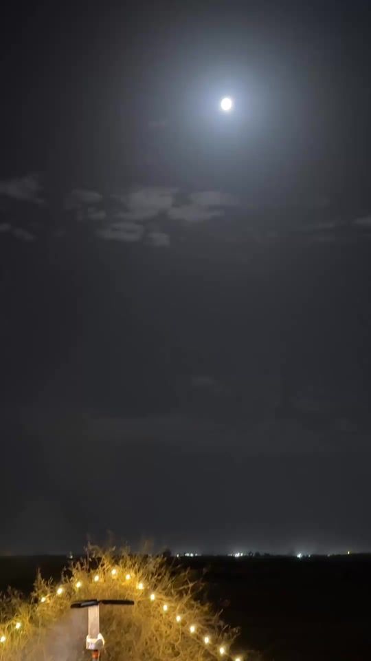 TikTok video thumbnail by alkorgle