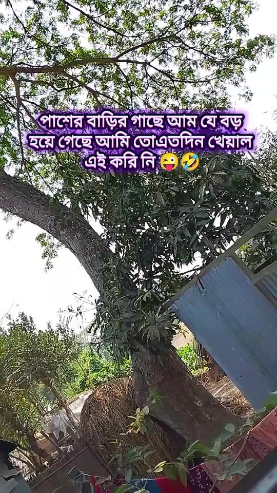 TikTok video thumbnail by crushqueen1078