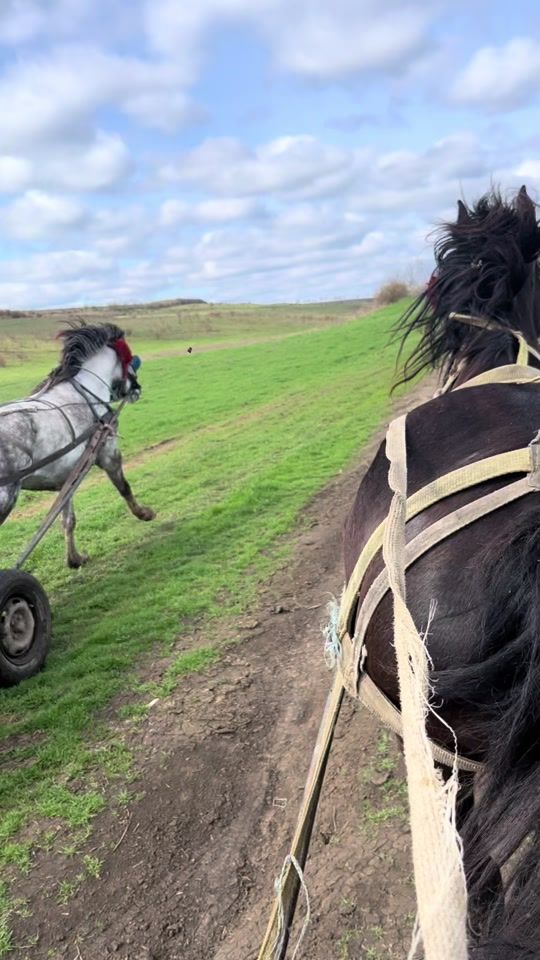 TikTok video thumbnail by dan.rotaru28