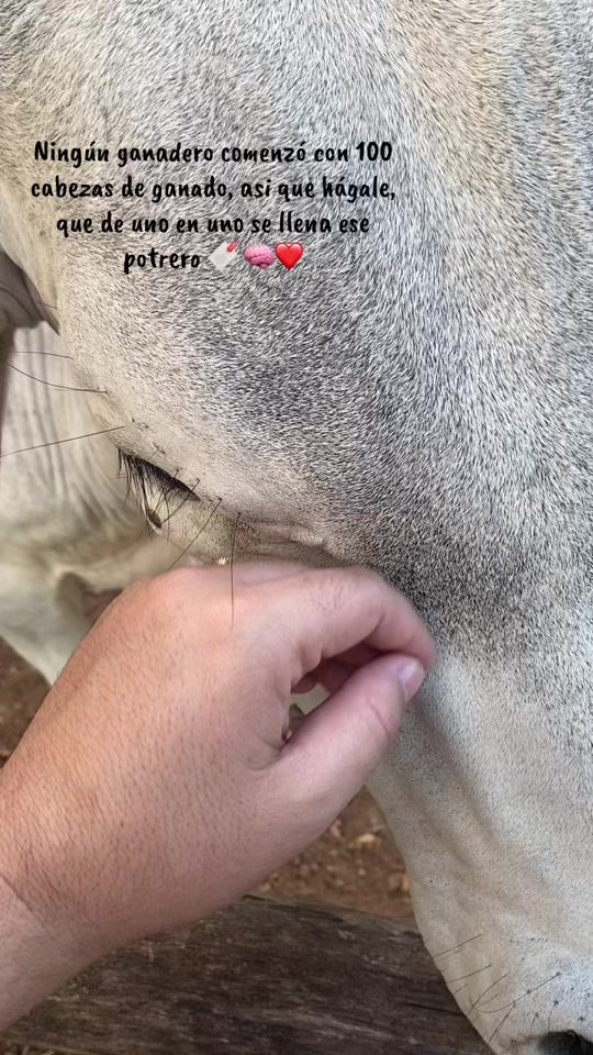 TikTok video thumbnail by aguedamb1