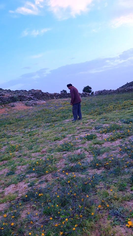 TikTok video thumbnail by noureddine_baamrani