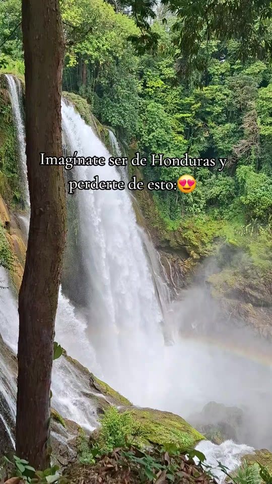 TikTok video thumbnail by elymartinez549