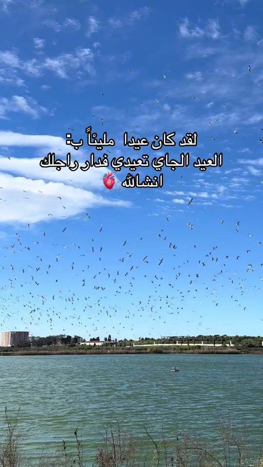 TikTok video thumbnail by ahlem.ch8
