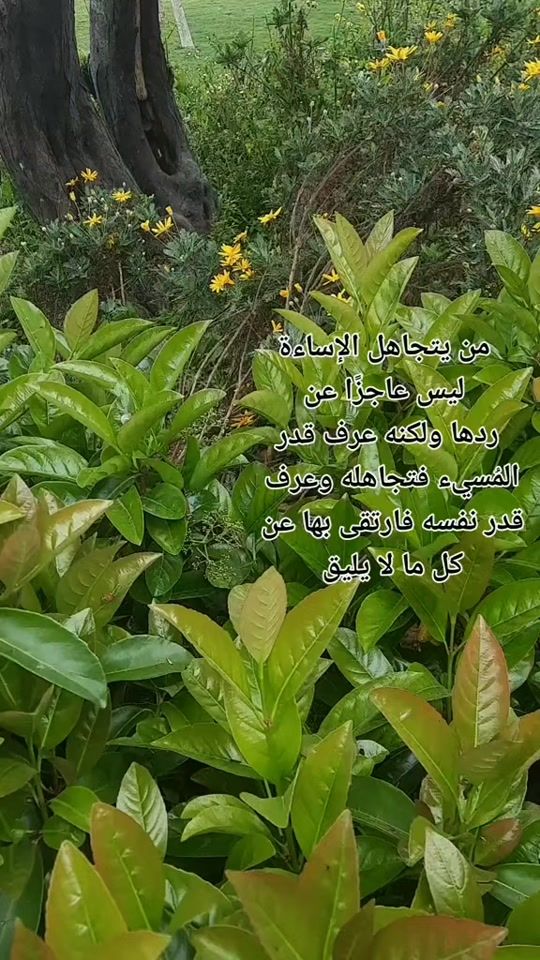 TikTok video thumbnail by aamer556