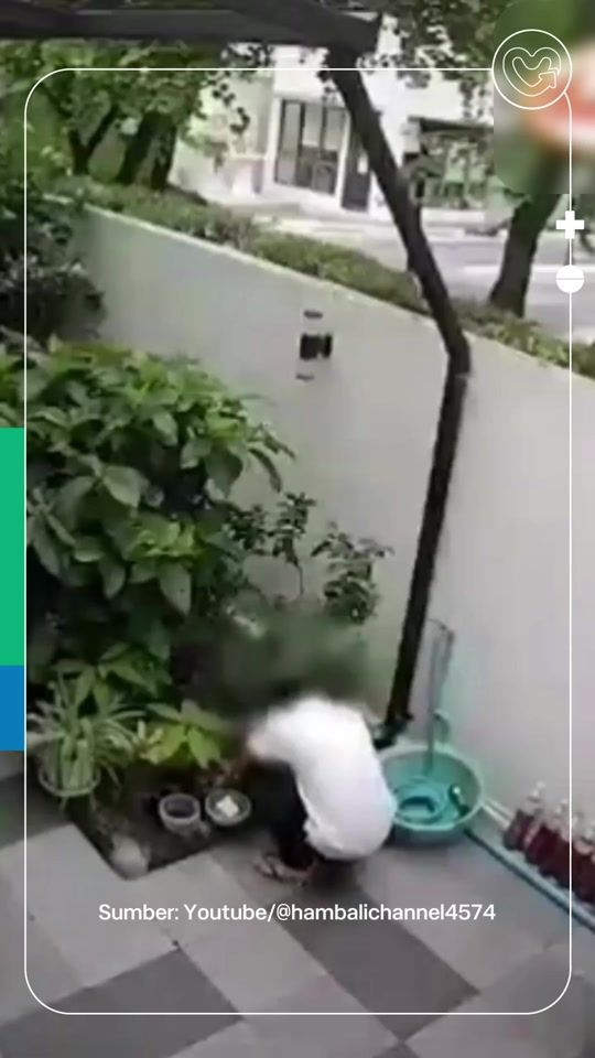 TikTok video thumbnail by klikdokter_id