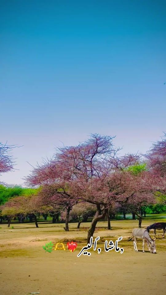 TikTok video thumbnail by asmrani.49