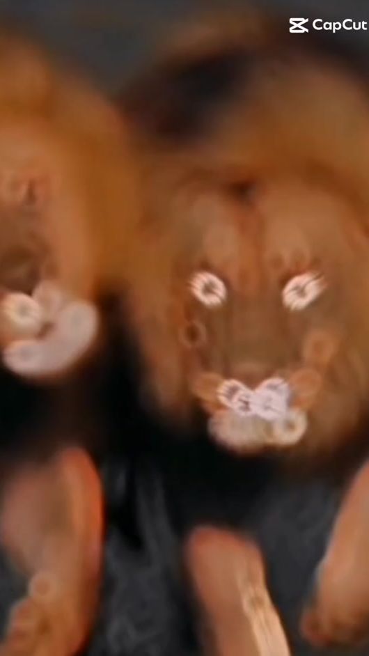 TikTok video thumbnail by aslan.bey.4242