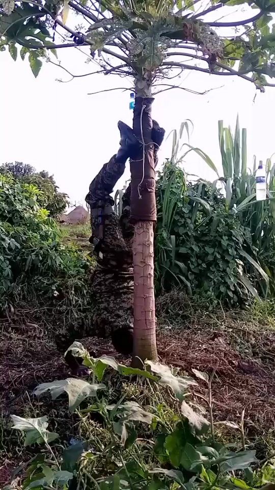 TikTok video thumbnail by da.tiger12