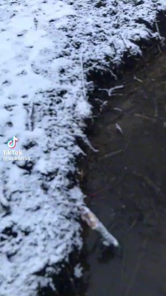 TikTok video thumbnail by igoreha190