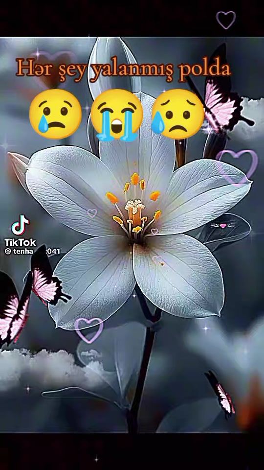 TikTok video thumbnail by lacin.07