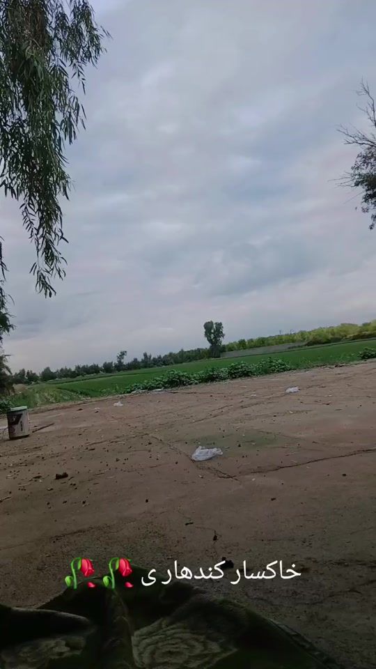 TikTok video thumbnail by user6169405408044
