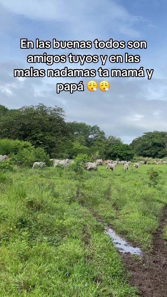 TikTok video thumbnail by x._____________pineda