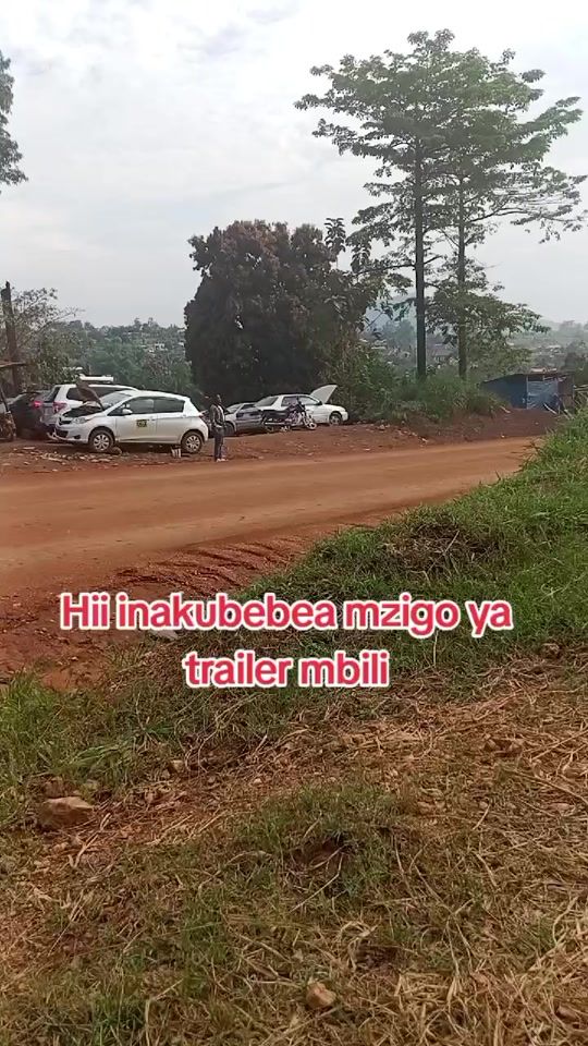 TikTok video thumbnail by ndunguwagrader