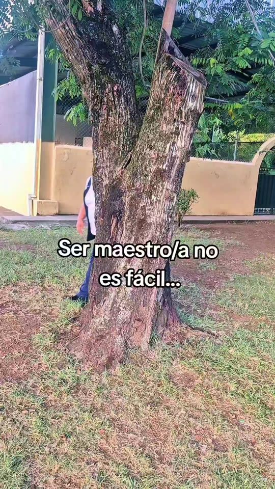 TikTok video thumbnail by rosayris.delmonte