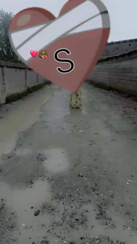 TikTok video thumbnail by xulegan20