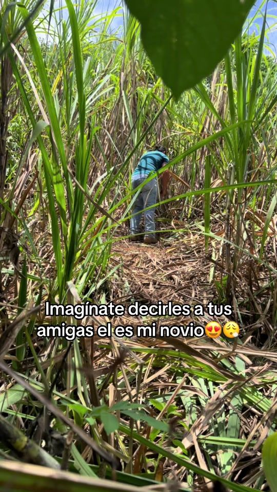 TikTok video thumbnail by jesus_13augusto
