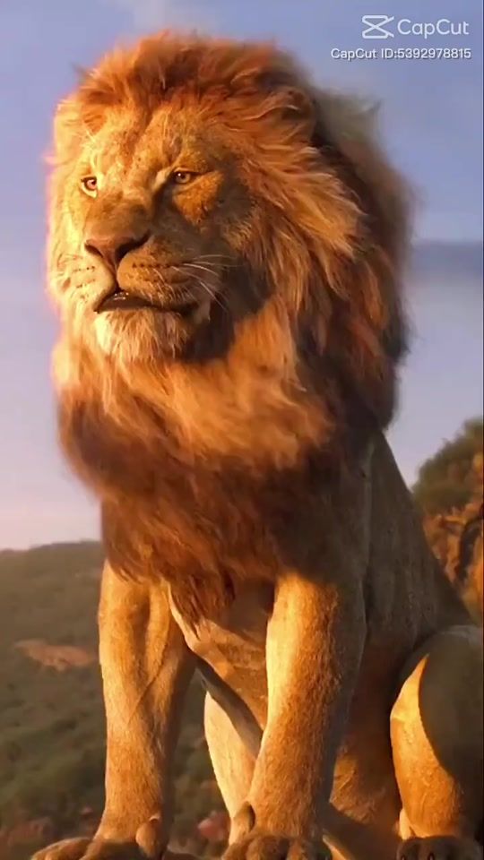 TikTok video thumbnail by the.legend.uae