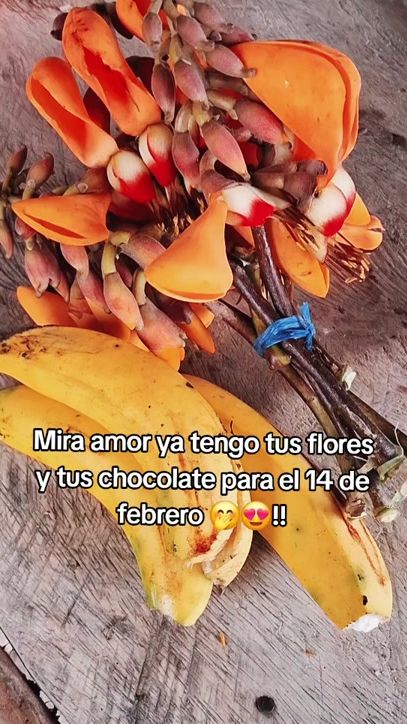TikTok video thumbnail by josepalacio___