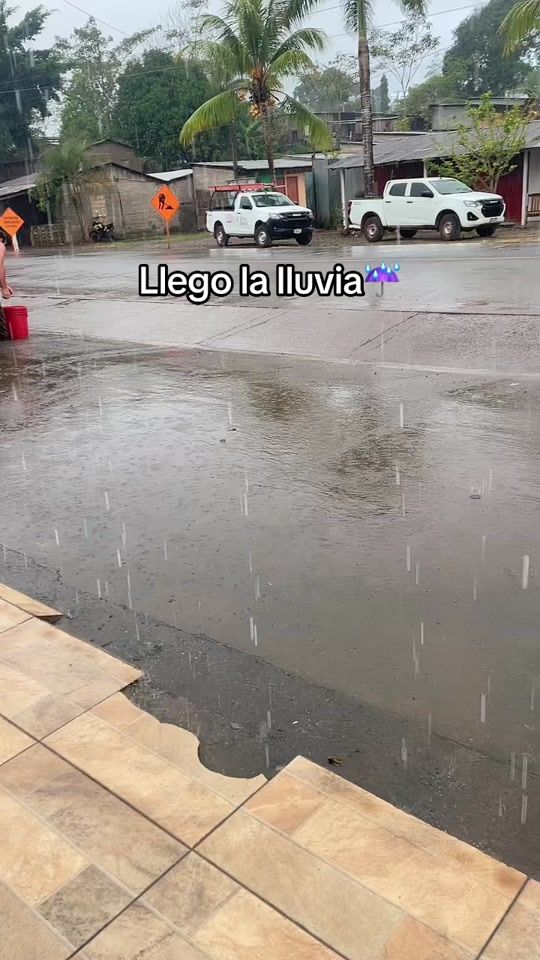 TikTok video thumbnail by ldf1999