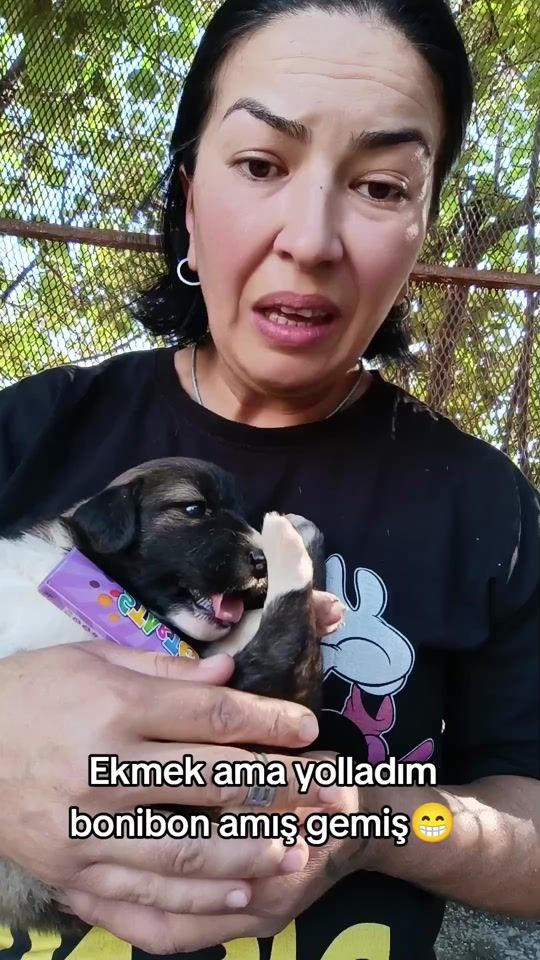 TikTok video thumbnail by ayseayseee1