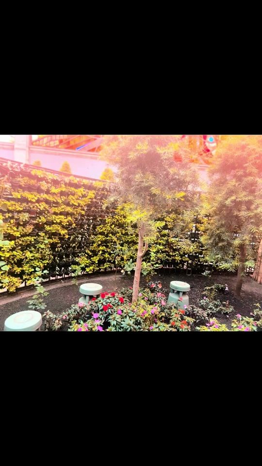 TikTok video thumbnail by lenna291104ihaj