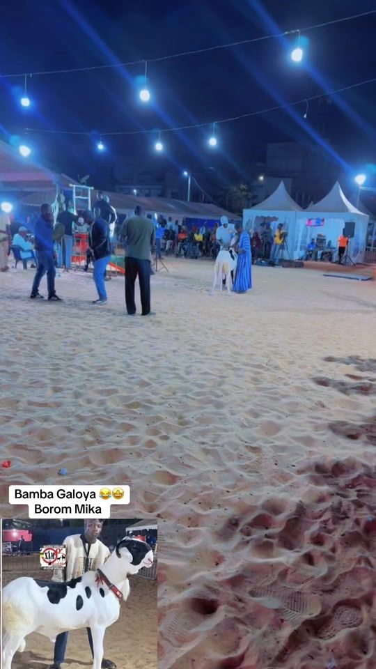 TikTok video thumbnail by biranenarr