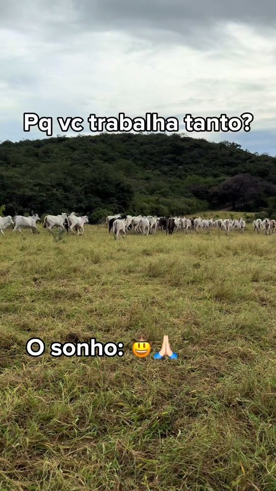 TikTok video thumbnail by gabriel_agroribeiro