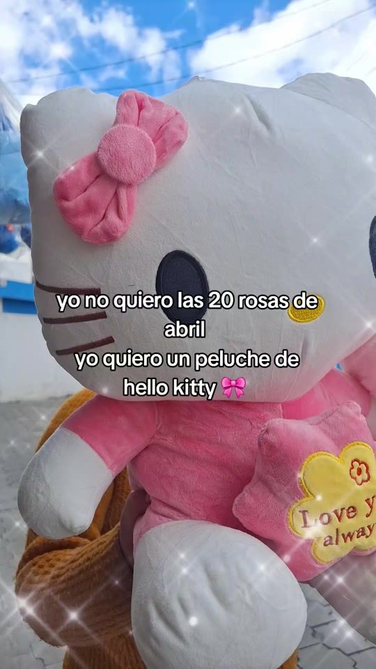 TikTok video thumbnail by boutique_de_flores_sp