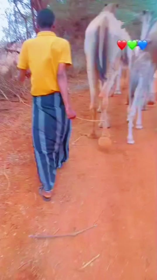 TikTok video thumbnail by drabdow