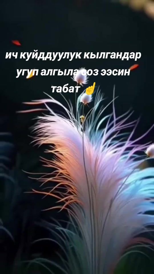 TikTok video thumbnail by aida20.06.1971