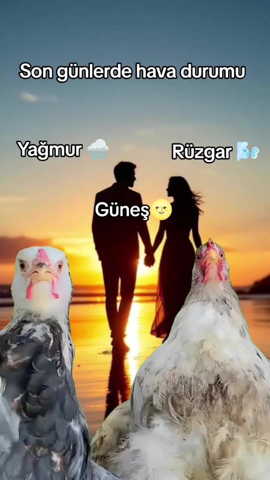TikTok video thumbnail by zelihaselma