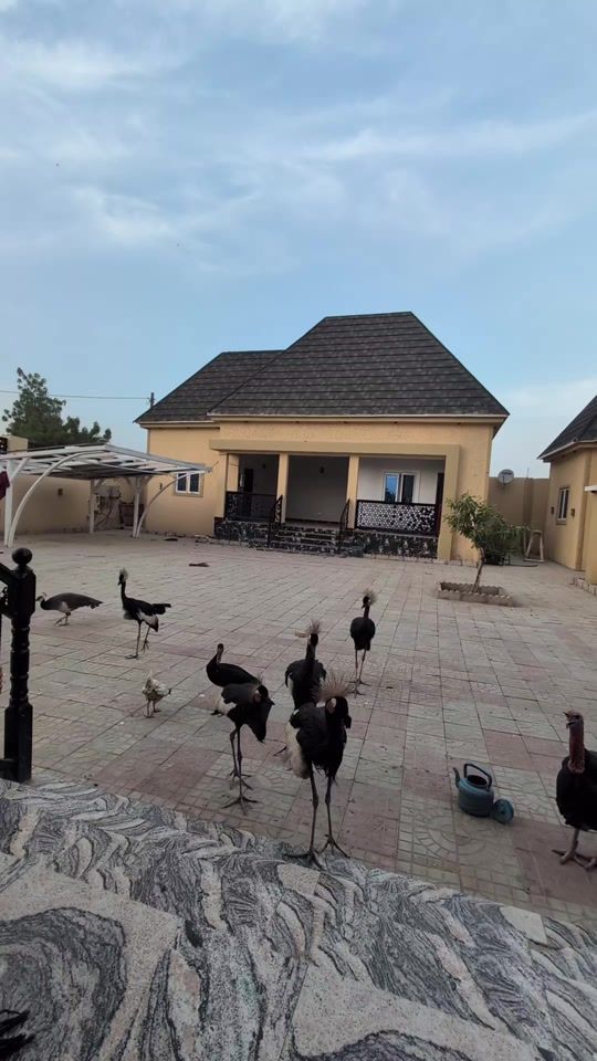 TikTok video thumbnail by petit.con01