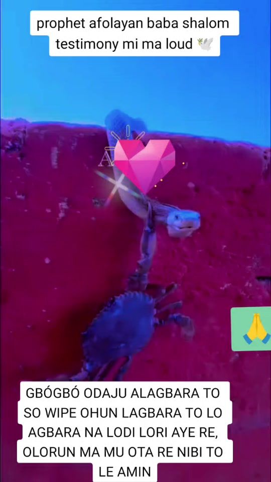 TikTok video thumbnail by prophetafolayan