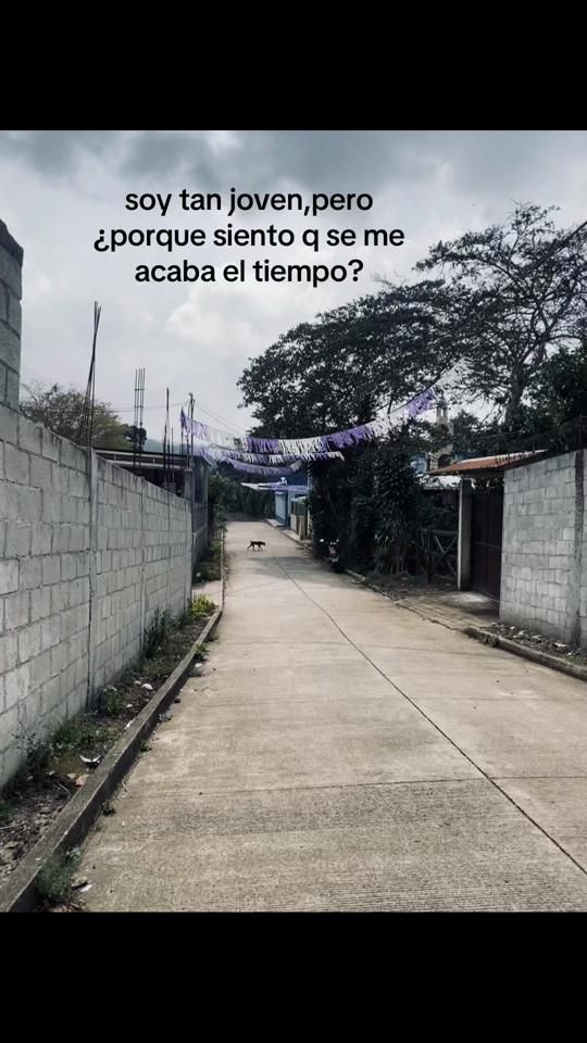 TikTok video thumbnail by anthoni1865