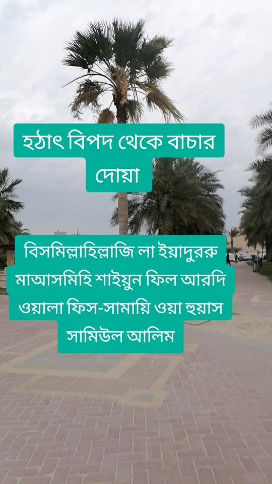 TikTok video thumbnail by hasan6a3