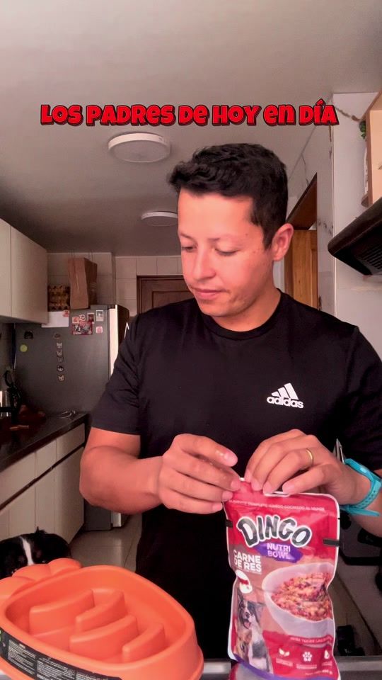 TikTok video thumbnail by catdogcolombia