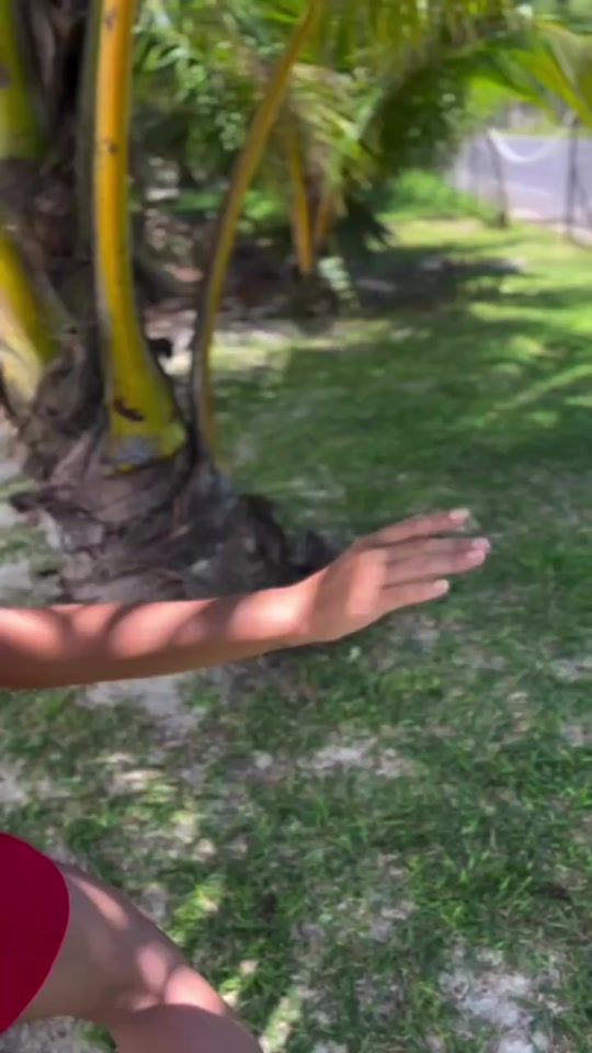 TikTok video thumbnail by tahitiori