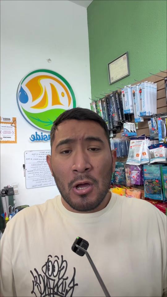 TikTok video thumbnail by tropinside