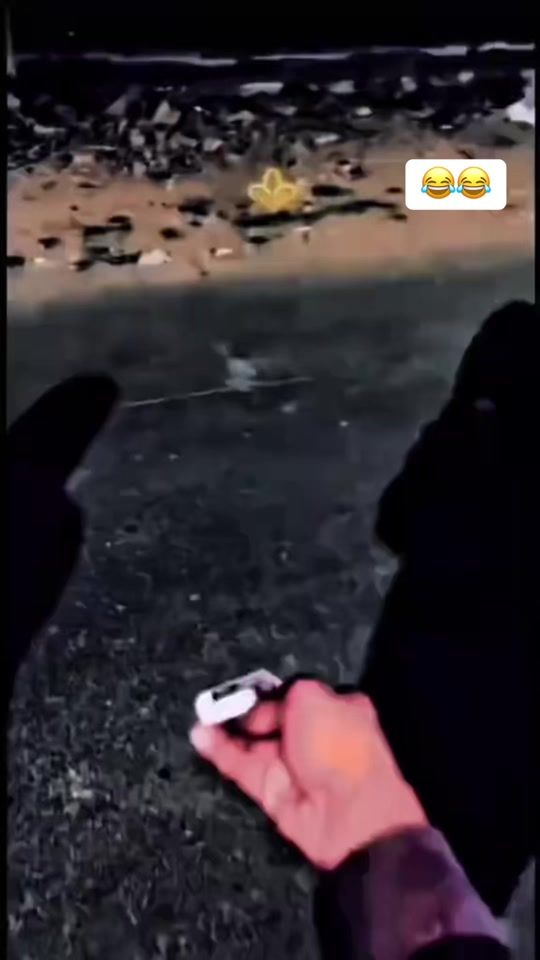 TikTok video thumbnail by vl7z7