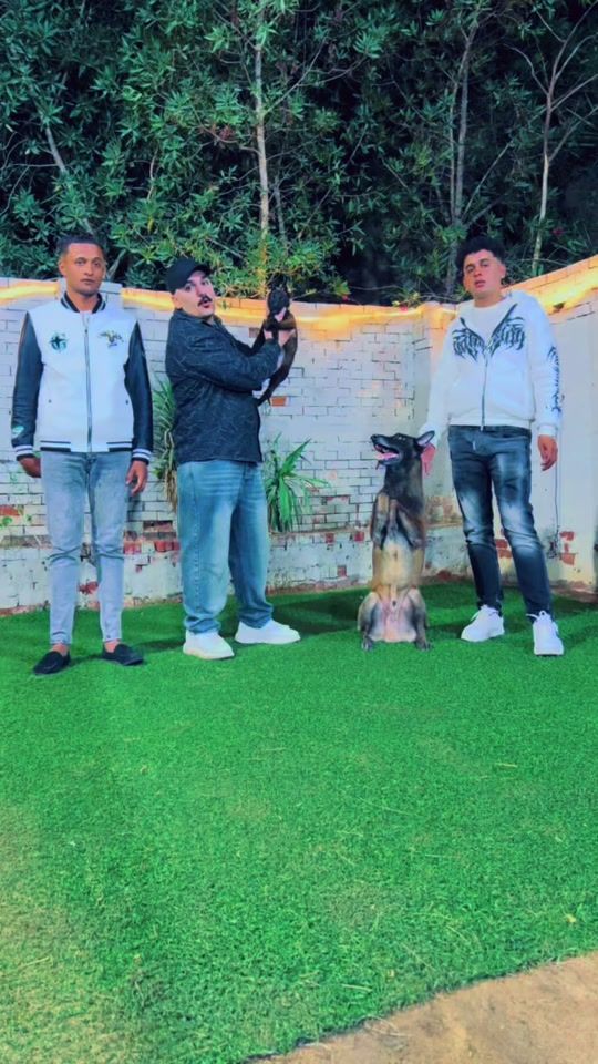 TikTok video thumbnail by omar_abo_samir
