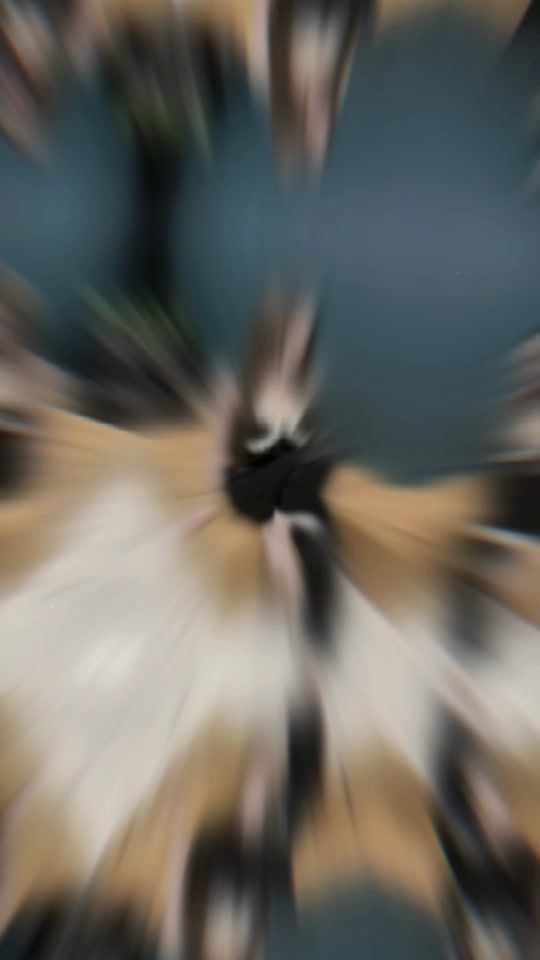TikTok video thumbnail by g_ie44