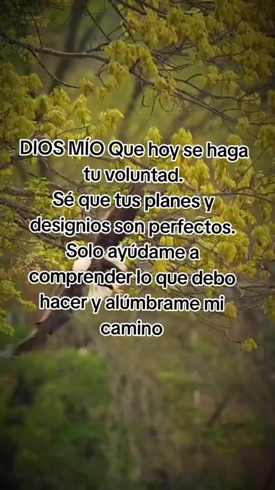 TikTok video thumbnail by dari.peru