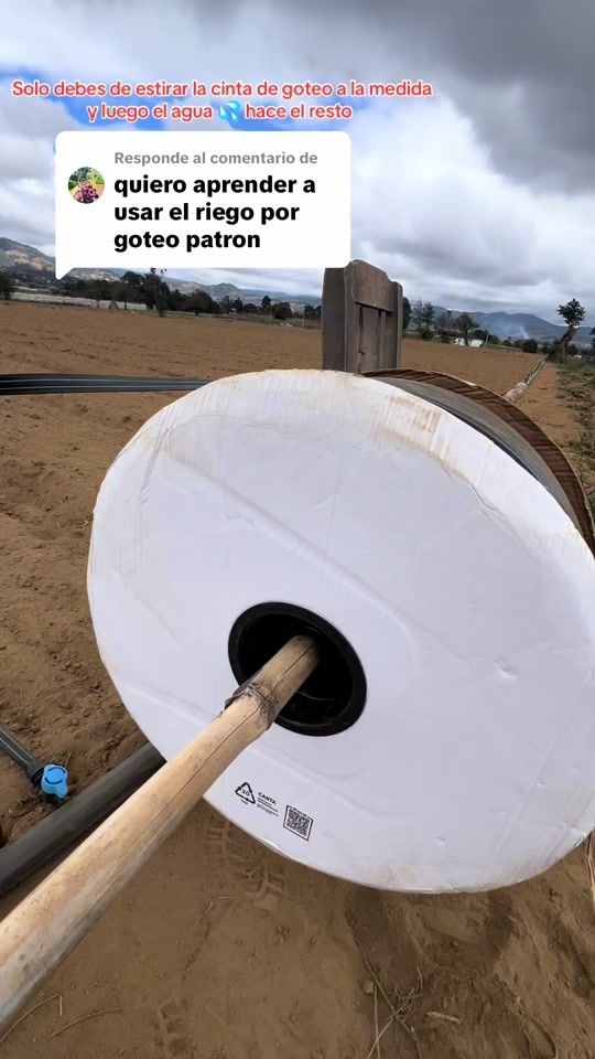 TikTok video thumbnail by agriguate