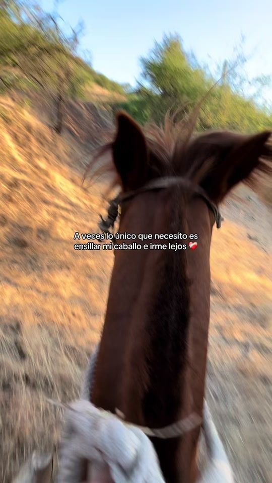TikTok video thumbnail by anivargass_