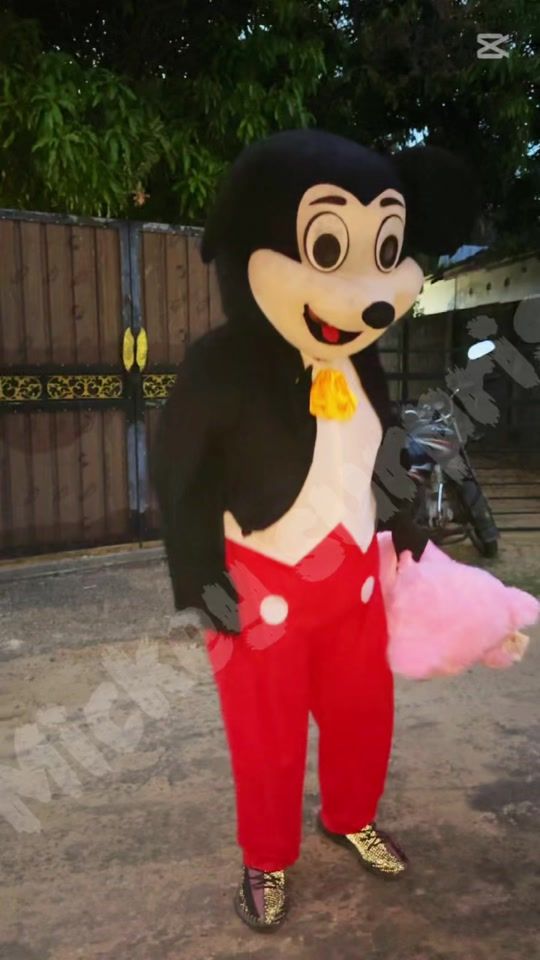 TikTok video thumbnail by mickeysurprise